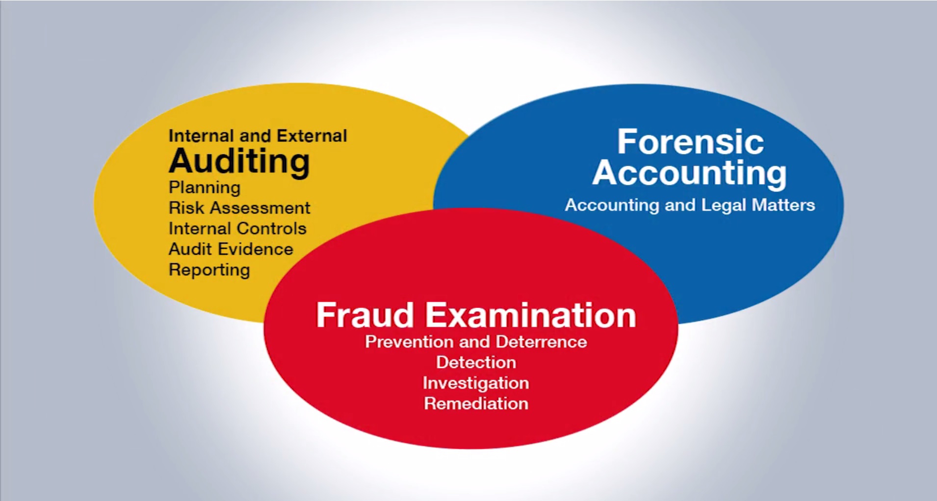 Auditing-fraud-examination-forensic-accounting